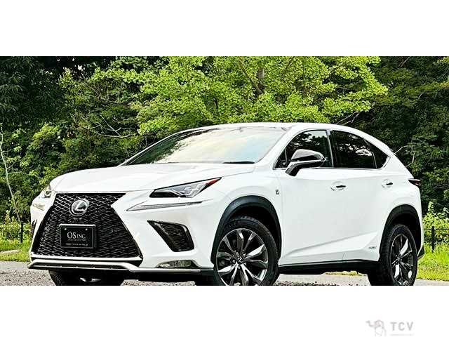 2018 Lexus NX