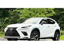 2018 Lexus NX