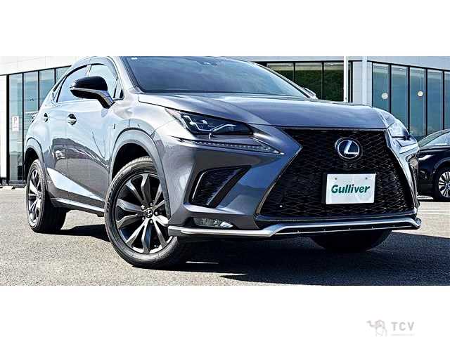 2018 Lexus NX