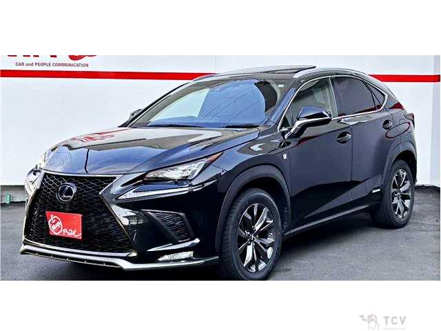 2018 Lexus NX