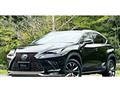 2018 Lexus NX
