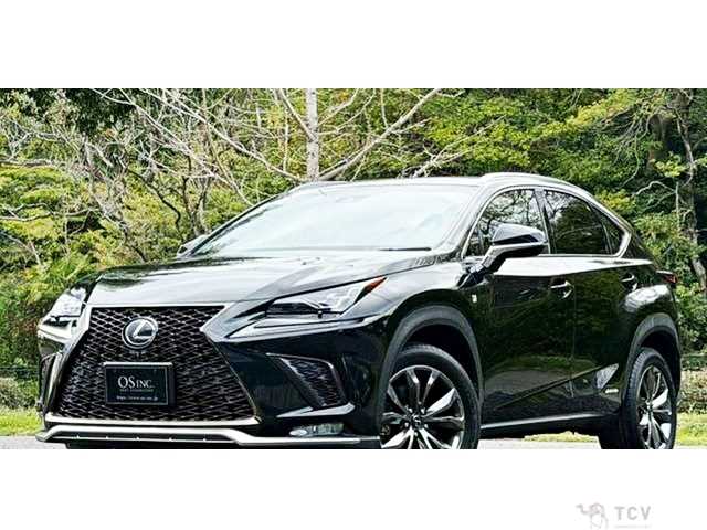 2018 Lexus NX