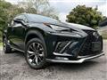 2018 Lexus NX