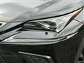 2018 Lexus NX