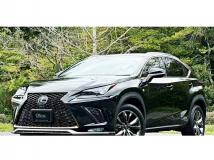 2018 Lexus NX