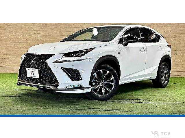 2018 Lexus NX
