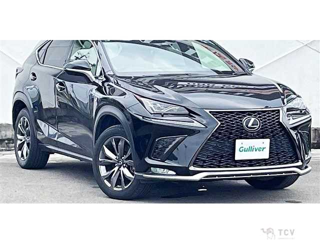 2018 Lexus NX