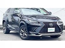 2018 Lexus NX