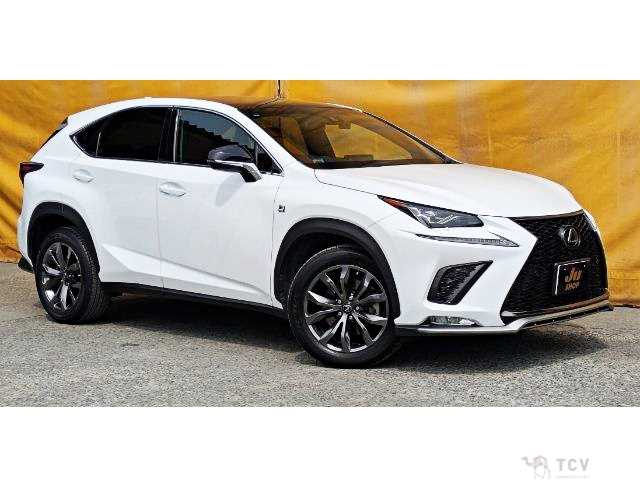 2018 Lexus NX