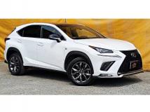 2018 Lexus NX