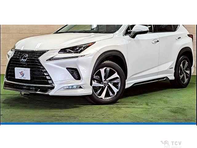 2018 Lexus NX