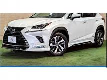 2018 Lexus NX