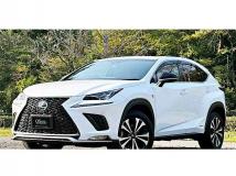 2018 Lexus NX