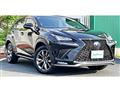 2018 Lexus NX