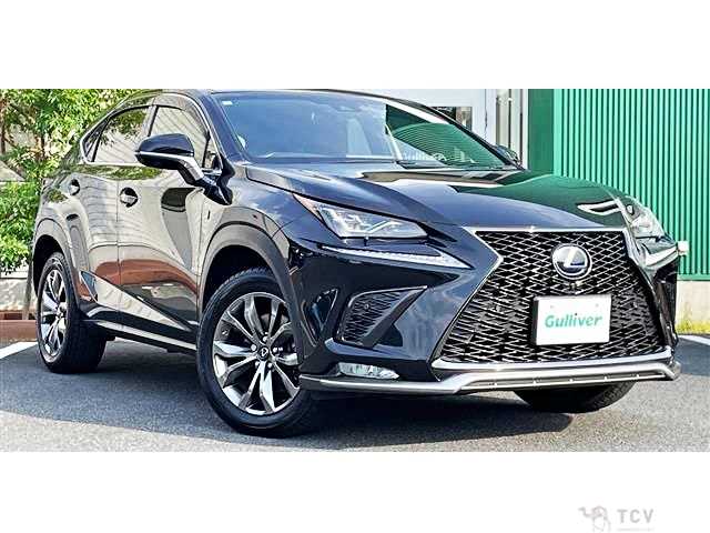 2018 Lexus NX