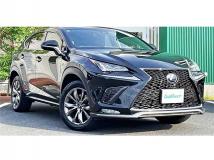 2018 Lexus NX