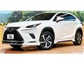 2018 Lexus NX