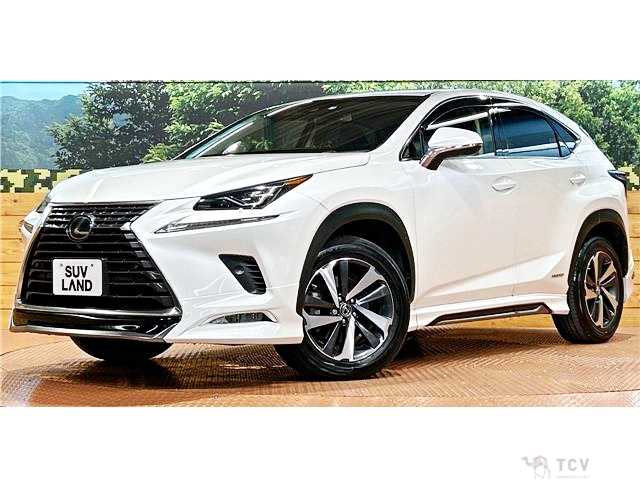 2018 Lexus NX