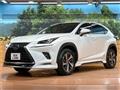 2018 Lexus NX
