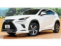 2018 Lexus NX