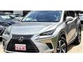 2018 Lexus NX