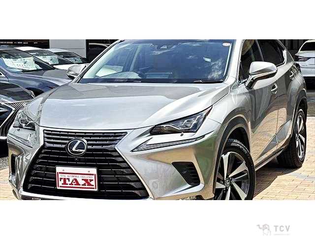 2018 Lexus NX