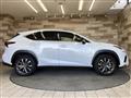 2018 Lexus NX