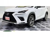 2018 Lexus NX