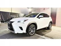2018 Lexus NX