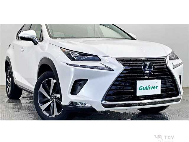2018 Lexus NX