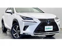 2018 Lexus NX
