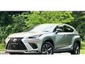 2018 Lexus NX