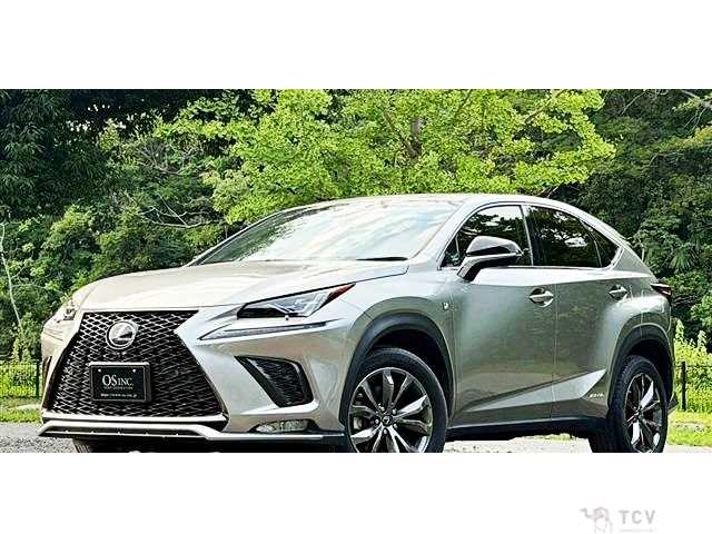 2018 Lexus NX