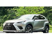 2018 Lexus NX