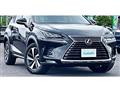 2018 Lexus NX