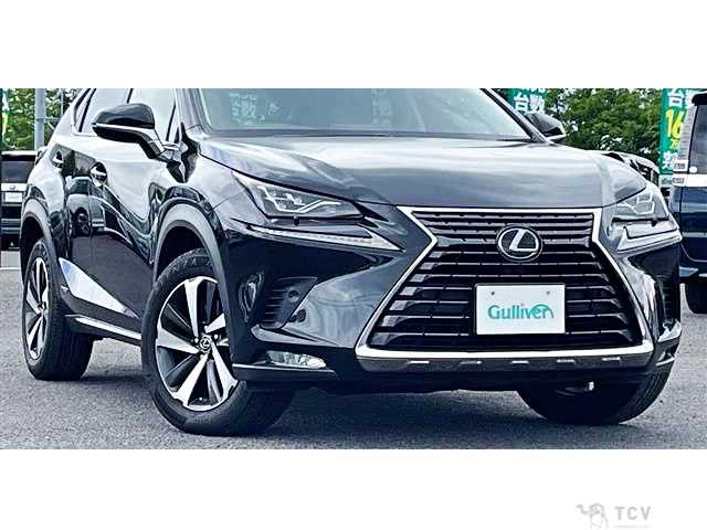 2018 Lexus NX