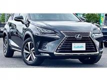2018 Lexus NX