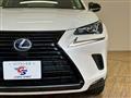 2018 Lexus NX