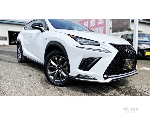 2018 Lexus NX