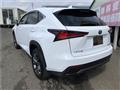 2018 Lexus NX
