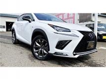2018 Lexus NX