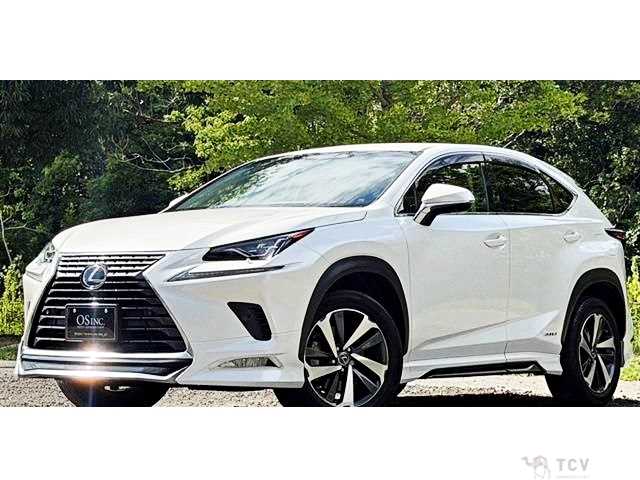 2018 Lexus NX
