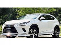 2018 Lexus NX