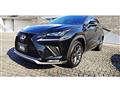 2018 Lexus NX