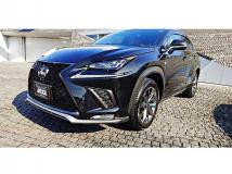 2018 Lexus NX