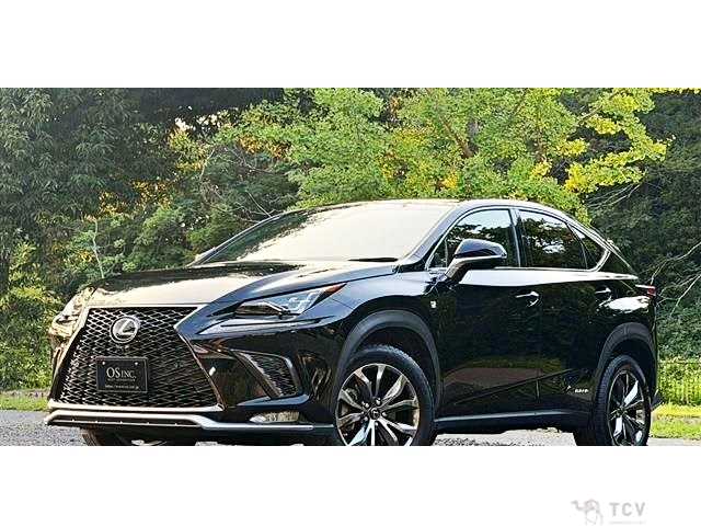 2018 Lexus NX