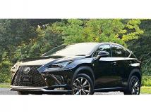 2018 Lexus NX