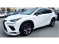 2018 Lexus NX