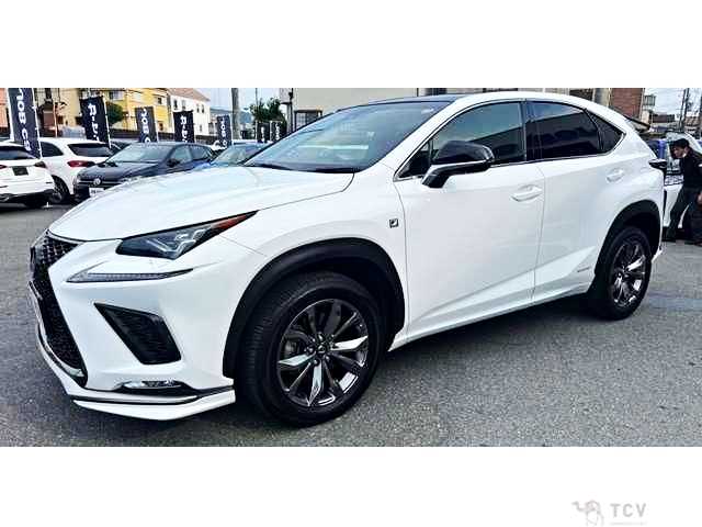 2018 Lexus NX