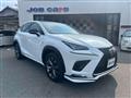 2018 Lexus NX